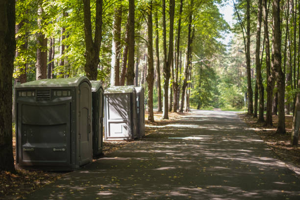 Best Local porta potty services  in Mammoth, AZ